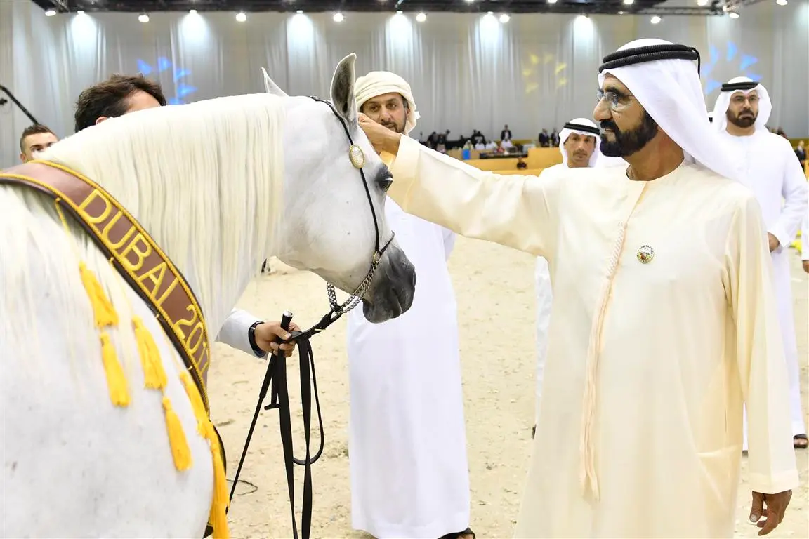 Pandaigdigang Pagtatanghal ng Arabian Horse sa Dubai