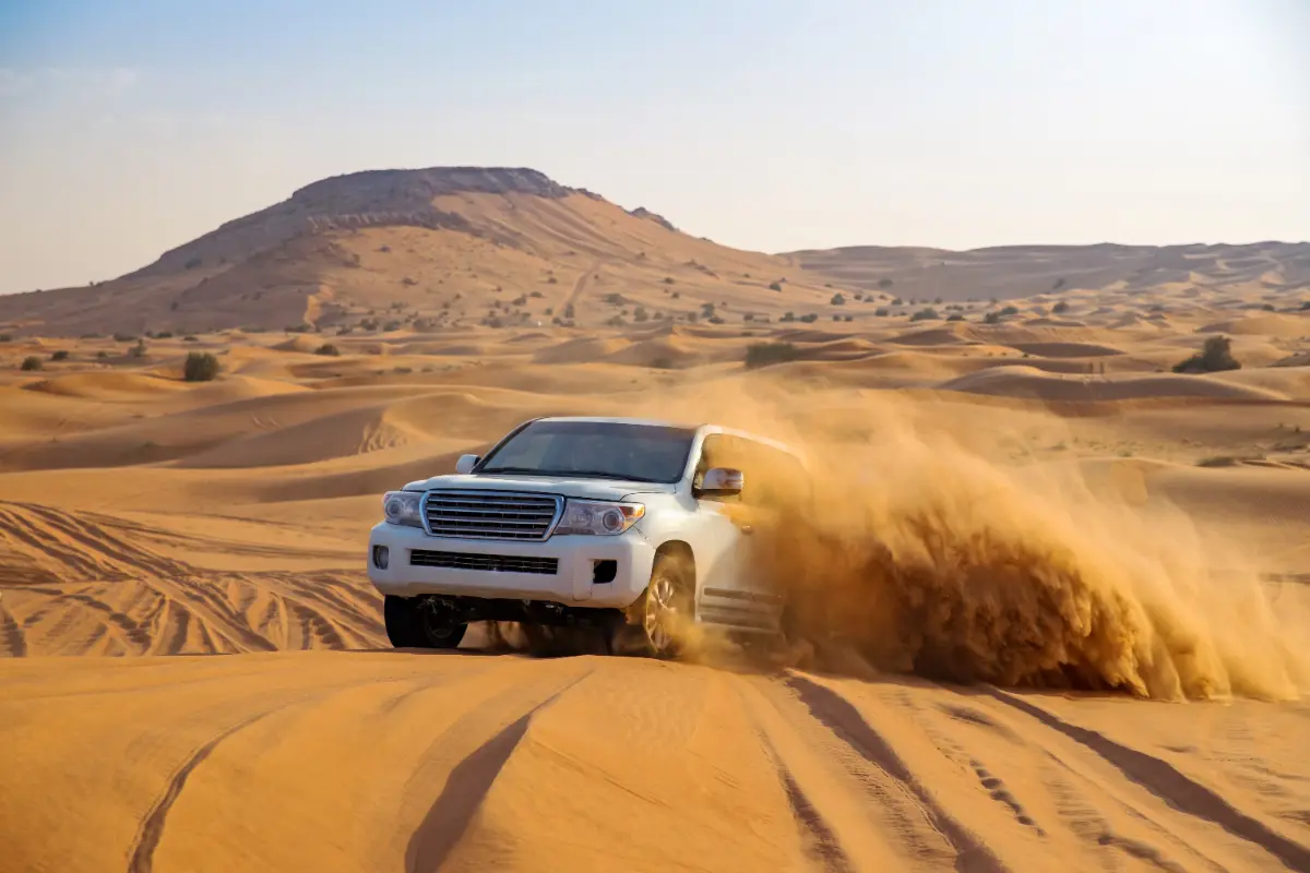 Safari a Dubai: un'esperienza emozionante nel cuore del deserto