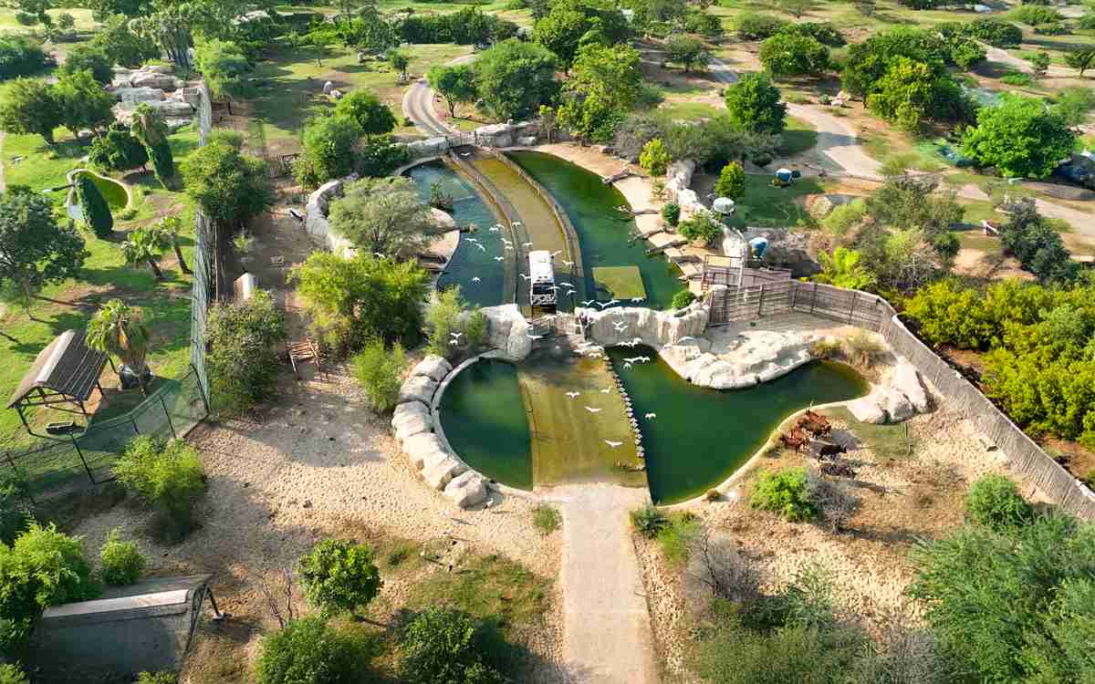 How to Get to Dubai Safari Park