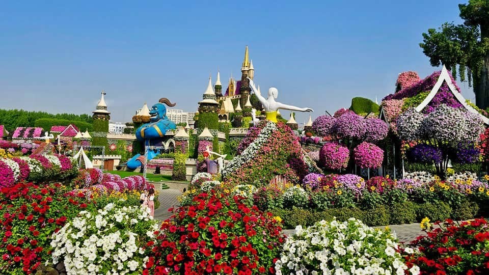 La merveille des fleurs le jour de l'anniversaire : entrée gratuite au Miracle Garden de Dubaï